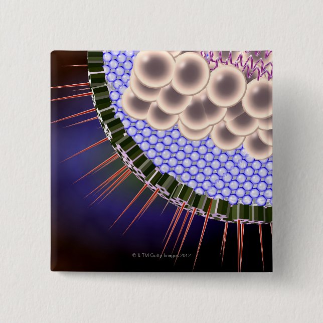 Herpes Virus Button (Vorderseite)