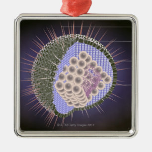 Herpes-Virus-Struktur Silbernes Ornament