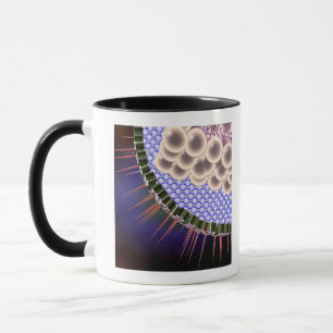 Herpes-Virus Tasse