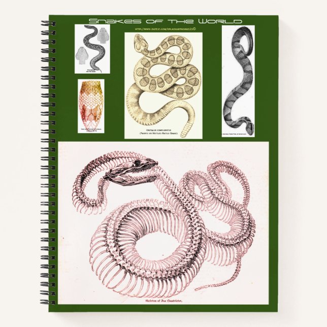 Herpetologie-Notebook Notizbuch (Vorderseite)
