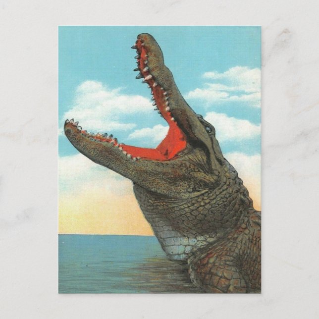Herr Alligator Postkarte (Vorderseite)