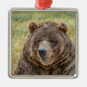 Herr Bear Ornament Aus Metall