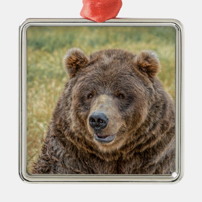 Herr Bear Ornament Aus Metall (Vorne)