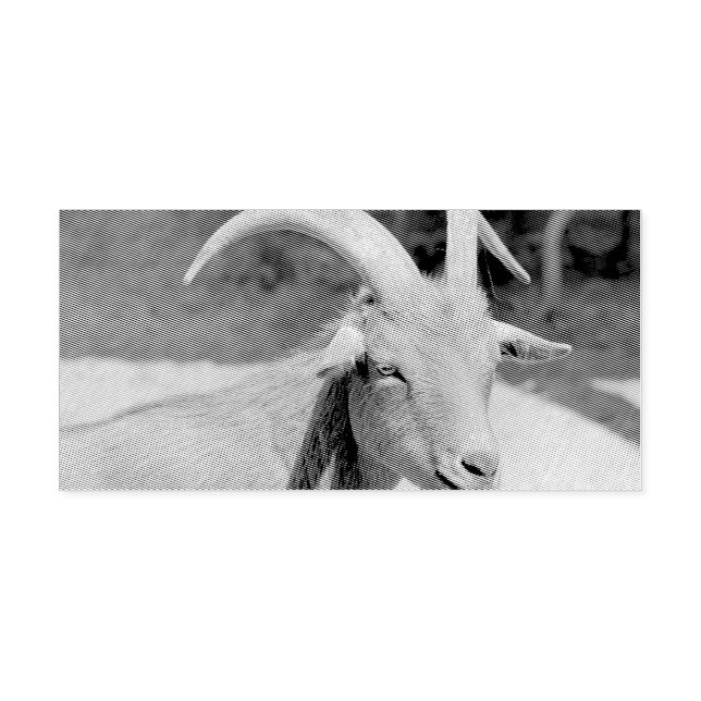 Herr Bill Permastempel (Design)