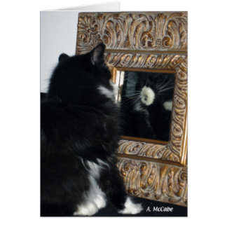 Herr Bootee, durch den Spiegel