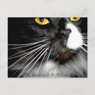 "Herr Bootee" Postkarte