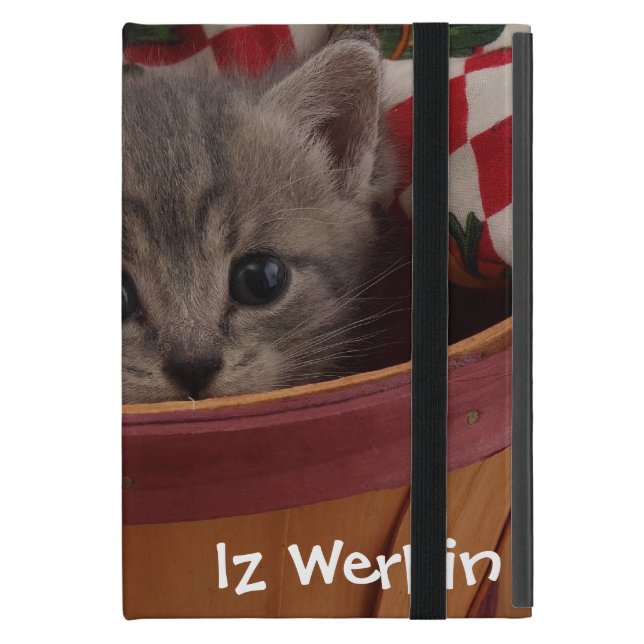 Herr Brown Kitty Etui Fürs iPad Mini (Vorderseite Geschlossen)