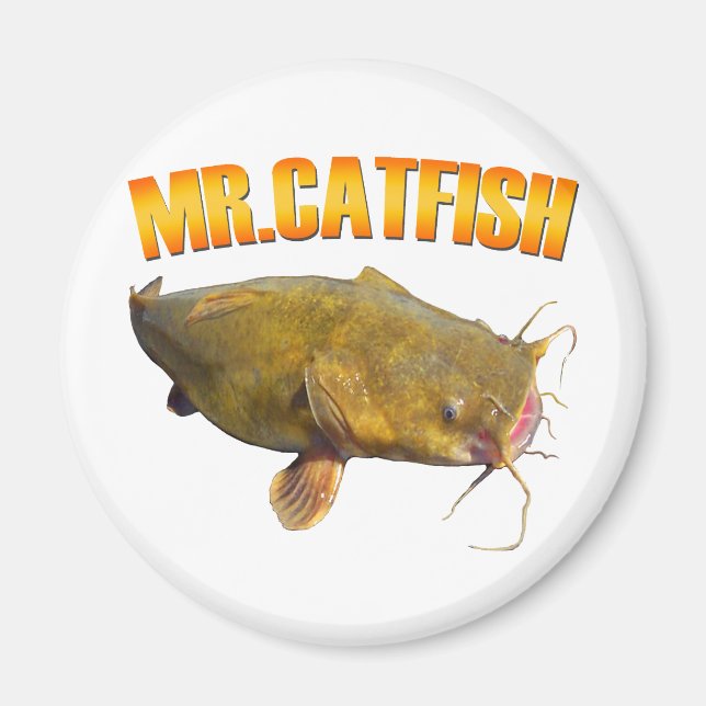 Herr Catfish efing Magnet (Vorne)