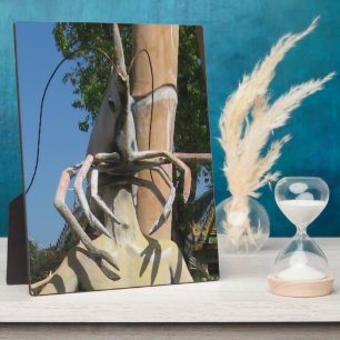 Herr Crustacean AKA Lobster Leiter ... Buddhist He Fotoplatte