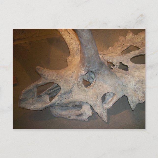 Herr Dino #2 Postkarte (Vorderseite)