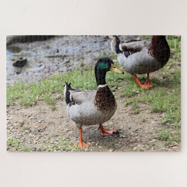 Herr Duck Puzzle (Horizontal)
