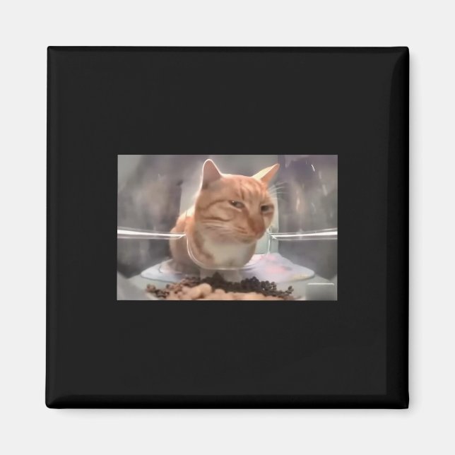 Herr Fresh Cat Meme Side Eye Cat Magnet (Vorne)