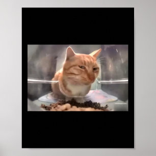Herr Fresh Cat Meme Side Eye Cat Poster