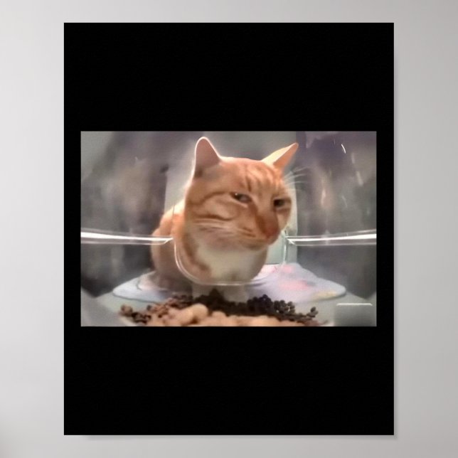 Herr Fresh Cat Meme Side Eye Cat Poster (Vorne)