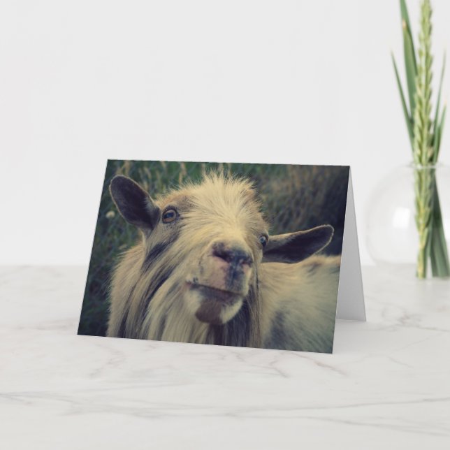 Herr Gotye - Blank Card Karte (Vorderseite)