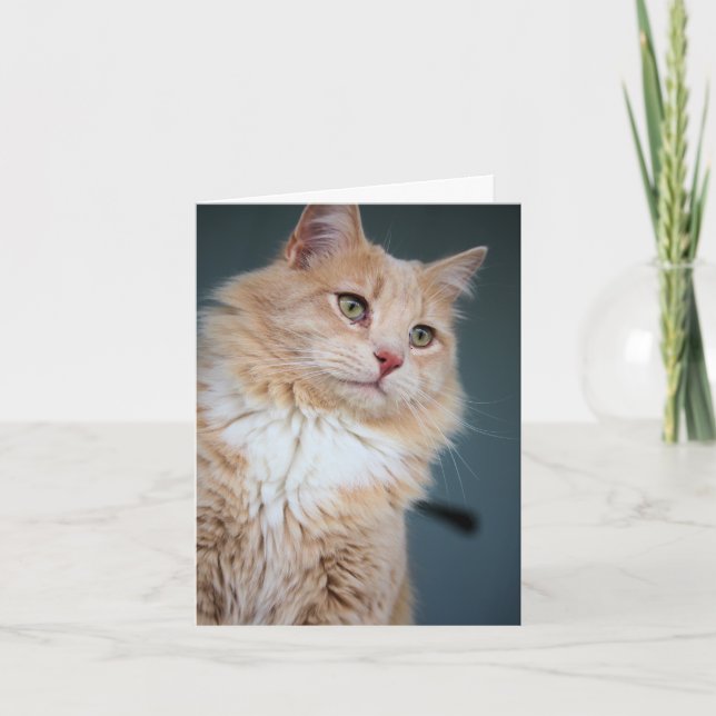 Herr, gut karte (Vorderseite)