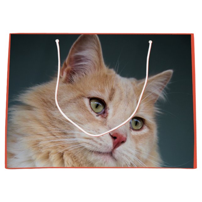 Herr Handsome Große Geschenktüte (Vorderseite)