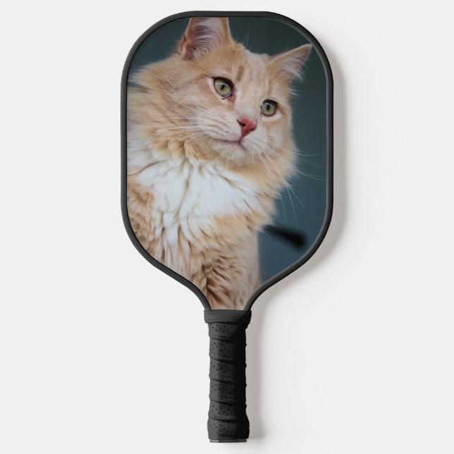Herr Handsome Pickleball Schläger (Vorderseite)