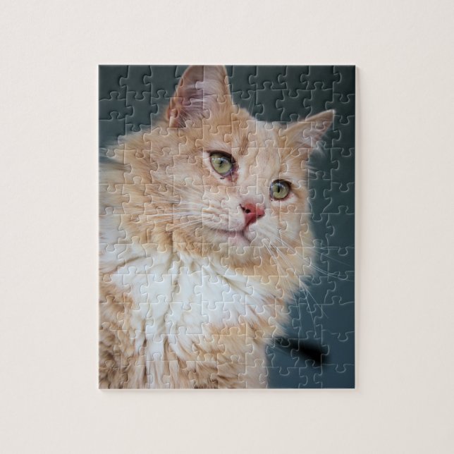 Herr Handsome Puzzle (Vertikal)