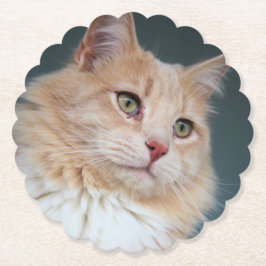 Herr Handsome Untersetzer