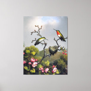 Herr J. HEADE - Ruby Throat aus Nordamerika (1865) Leinwanddruck