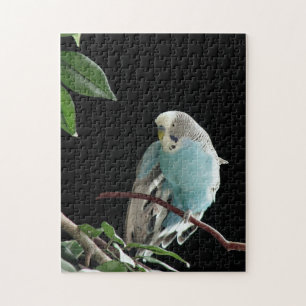 Herr Jill Budgie Puzzle