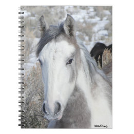 Herr Kitty Notebook Notizblock