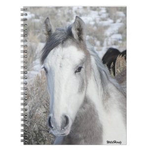 Herr Kitty Notebook Notizblock