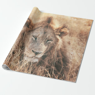 HERR LION KING GESCHENKPAPIER