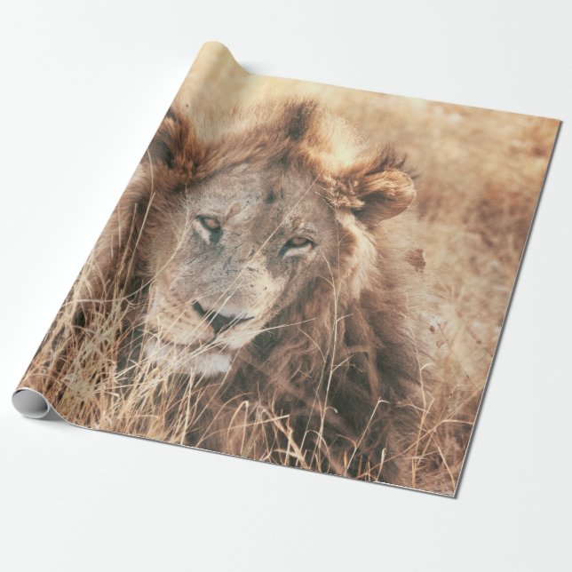 HERR LION KING GESCHENKPAPIER (Ungerollt)