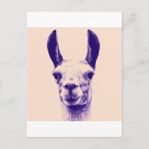 Herr Llama Postkarte