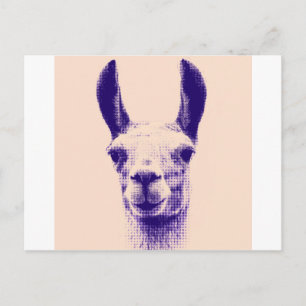 Herr Llama Postkarte