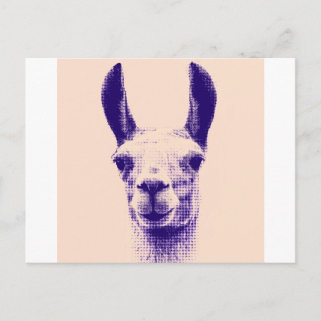 Herr Llama Postkarte (Vorderseite)