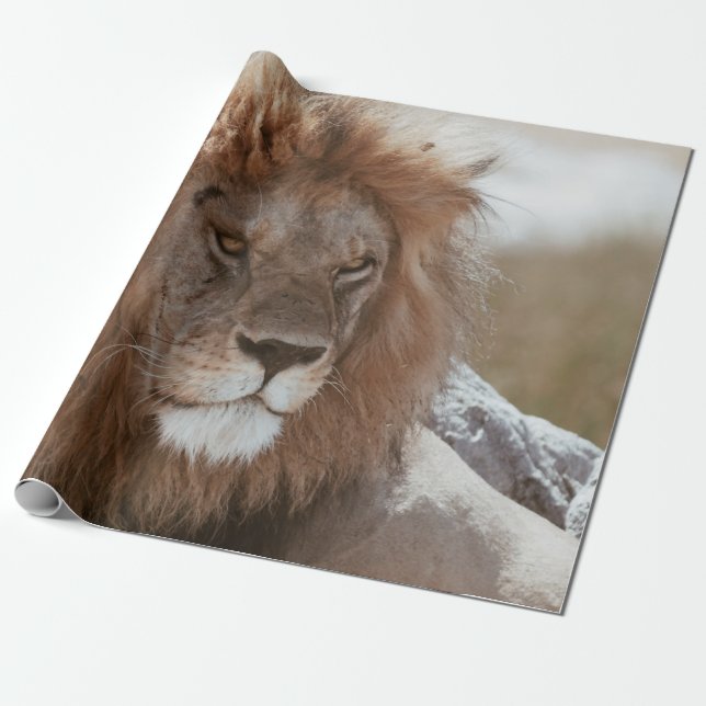 HERR LÖWE GESCHENKPAPIER (Ungerollt)