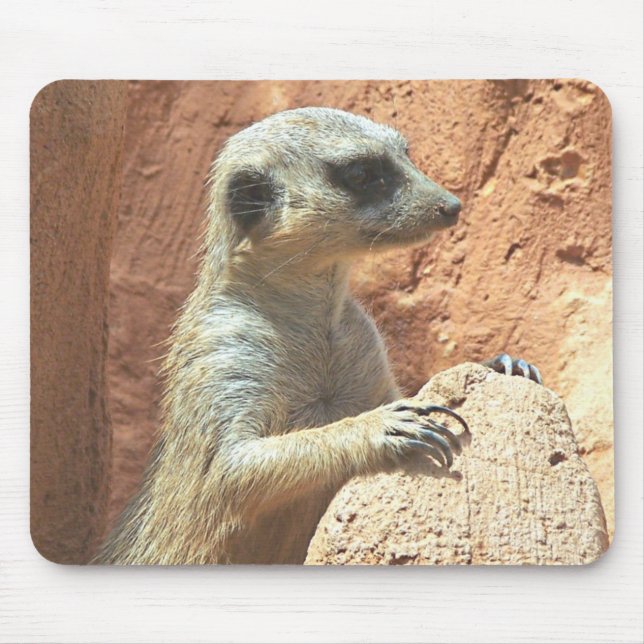 Herr Meerkat Mousepad (Vorne)