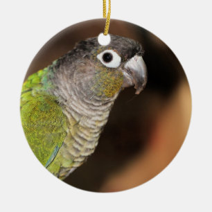 Herr Oliver Keramik Ornament