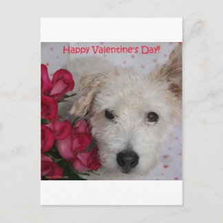 Herr Pish und Karte Dutzend Rosenvalentines Tages