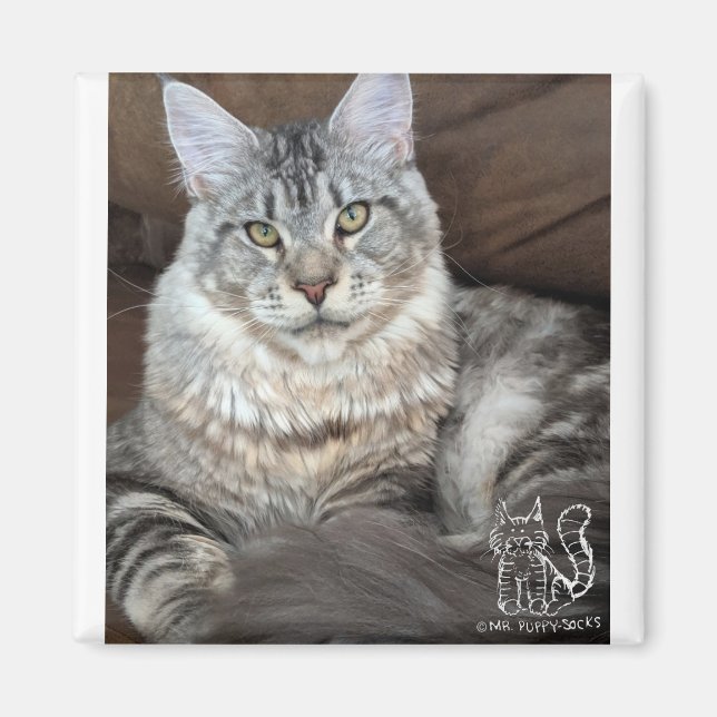 Herr Puppy-Socks Magnet #4 (Vorne)