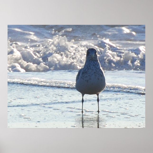Herr Seagull Poster (Vorne)