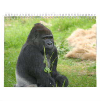 Herr Silverback Kalender