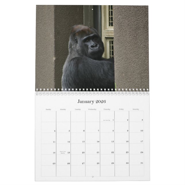 Herr Silverback Kalender (Jan 2026)
