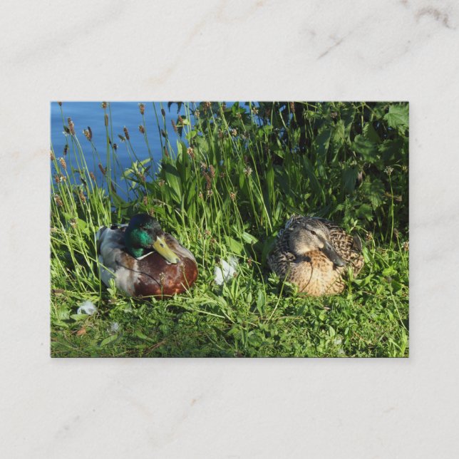 Herr und Frau Mallard Visitenkarte (Vorderseite)