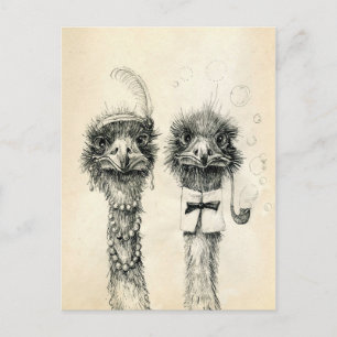Herr und Frau Ostrich Postkarte