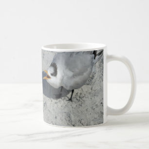 Herr und Frau Royal Tern auf dem Strand Tasse