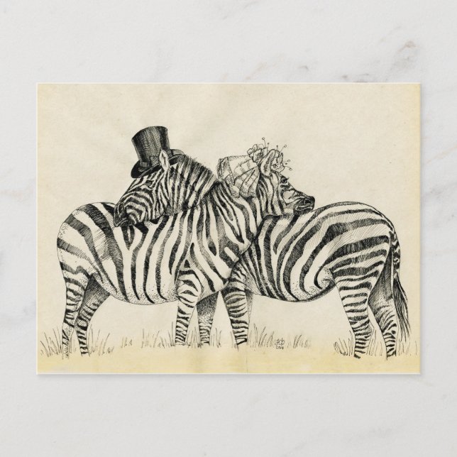 Herr und Frau Zebra Extravagantes Paar Postkarte (Vorderseite)