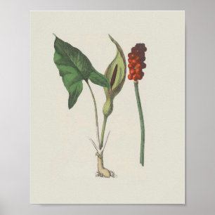 Herr und meine Damen Poster