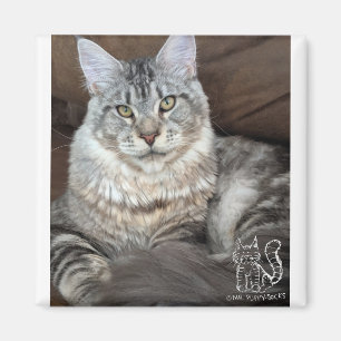 Herr Welpe-Socke Magnet #4