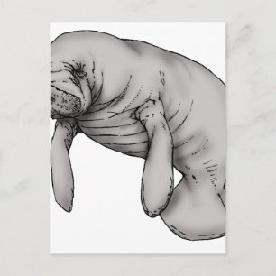 Herrenkunst Postkarte