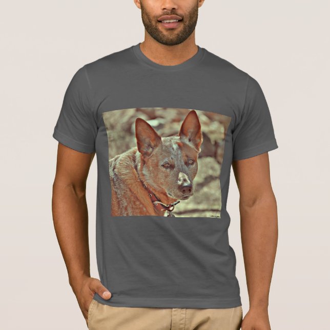 Herrenultra Cotton "Boomer" Red Heeler Tee Shirt. (Vorderseite)