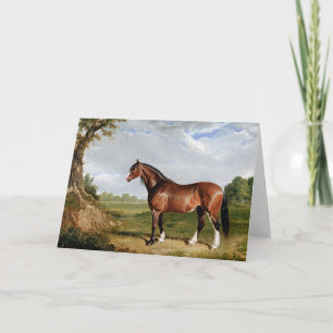 Herring - ein Clydesdale-Hengst, Fine Art, Karte